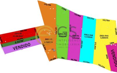 Imagem do WhatsApp de 2025-02-20 à(s) 14.33.44_d6ce3b45